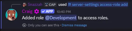 Usage of the `/server-settings access-role add` command