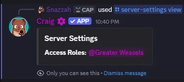 Usage of the `/server-settings view` command